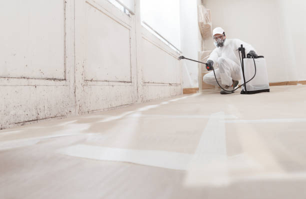 Black mold remediation team in Roosevelt